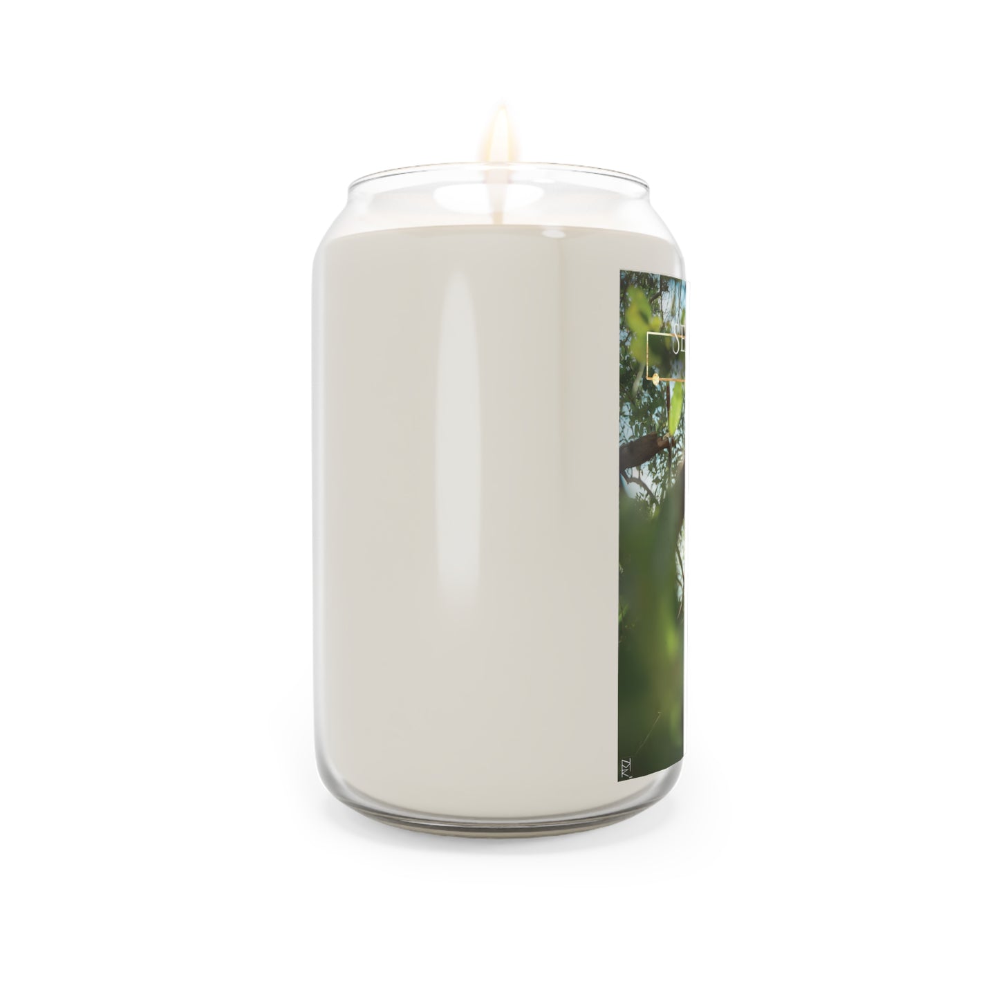 "Lahab" لهب Scented Candle, 13.75oz Azizah